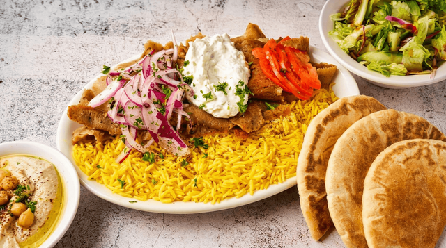 Gyro Plate.